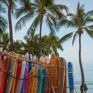 Meet your Posher, Justice